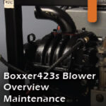 Boxxer423s Blower 