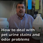 pet urine and odor problems