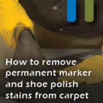 remove permanent marker and shoe polish