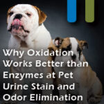 oxidation removing pet urine tains