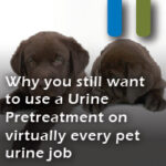 pretreat every urine stain